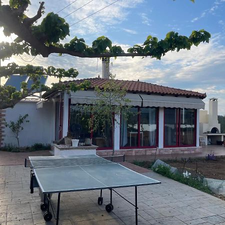 Country Lux Apartment Near Airport Markópulo Kültér fotó