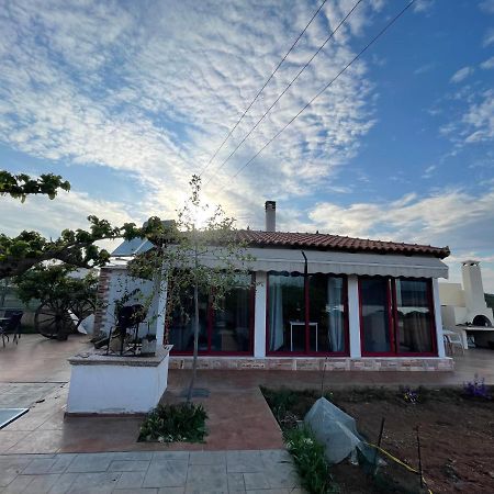 Country Lux Apartment Near Airport Markópulo Kültér fotó