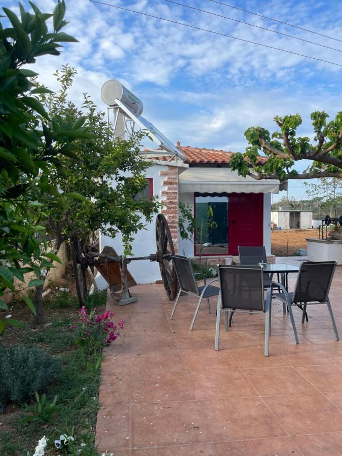 Country Lux Apartment Near Airport Markópulo Kültér fotó