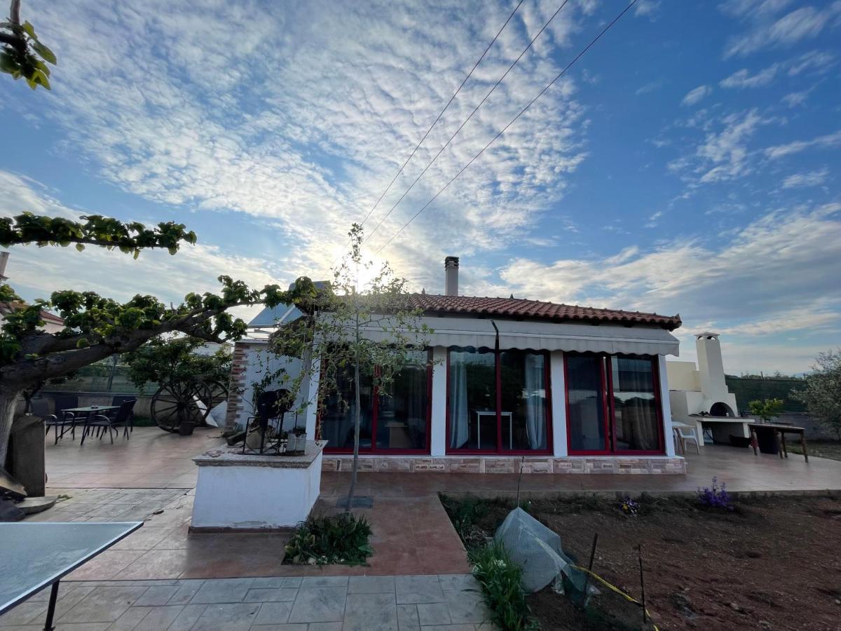 Country Lux Apartment Near Airport Markópulo Kültér fotó